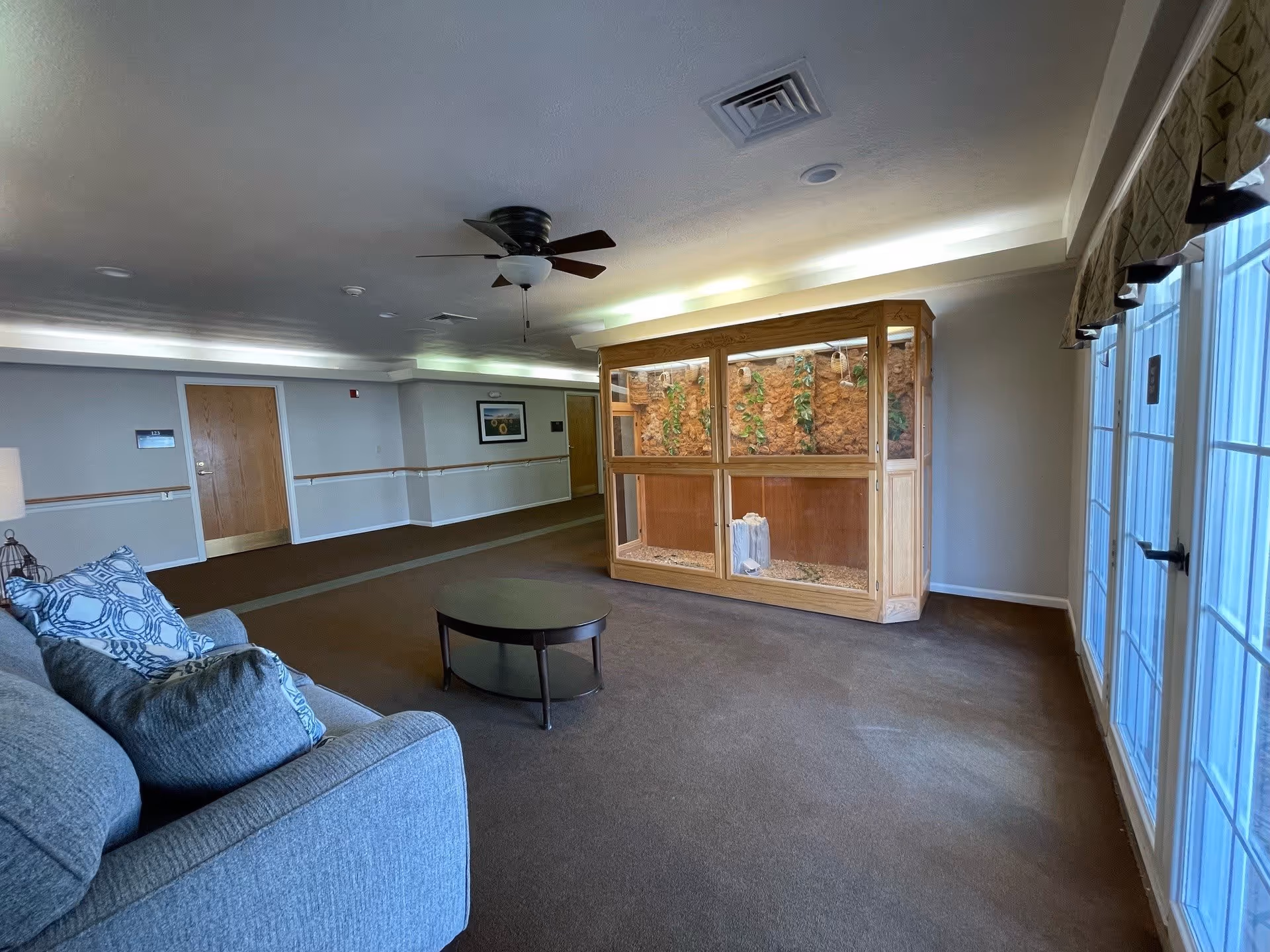 A spacious common area with a gray couch and patterned pillows on the left, a round coffee table in the center, and a large wooden terrarium with plants and rocks against the far wall. The room has brown carpet, white walls, ceiling lights, a ceiling fan, and large windows with patterned valances on the right side letting in natural light.