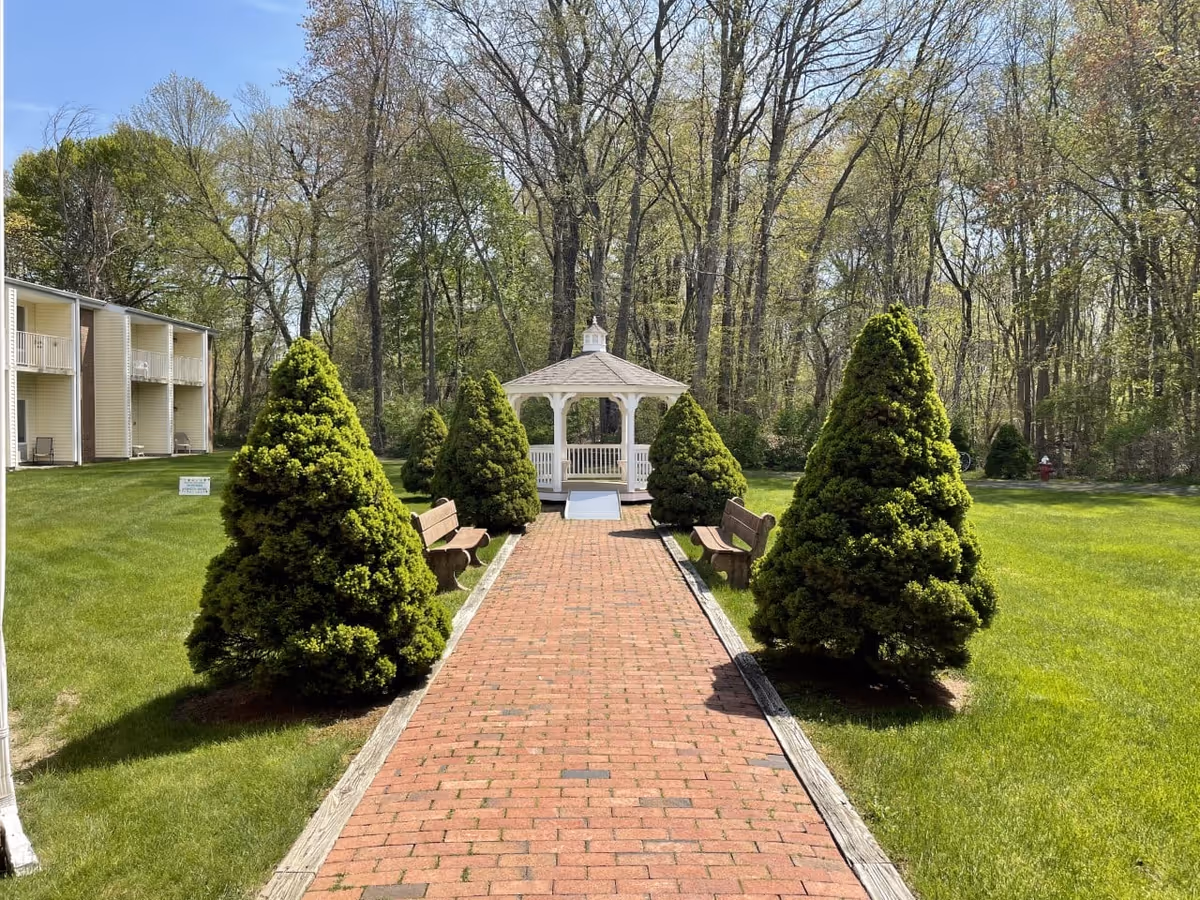 A brick pathway lined with neatly trimmed conical evergreen bushes and wooden benches on both sides leads to a white gazebo in a grassy outdoor area with trees in the background.