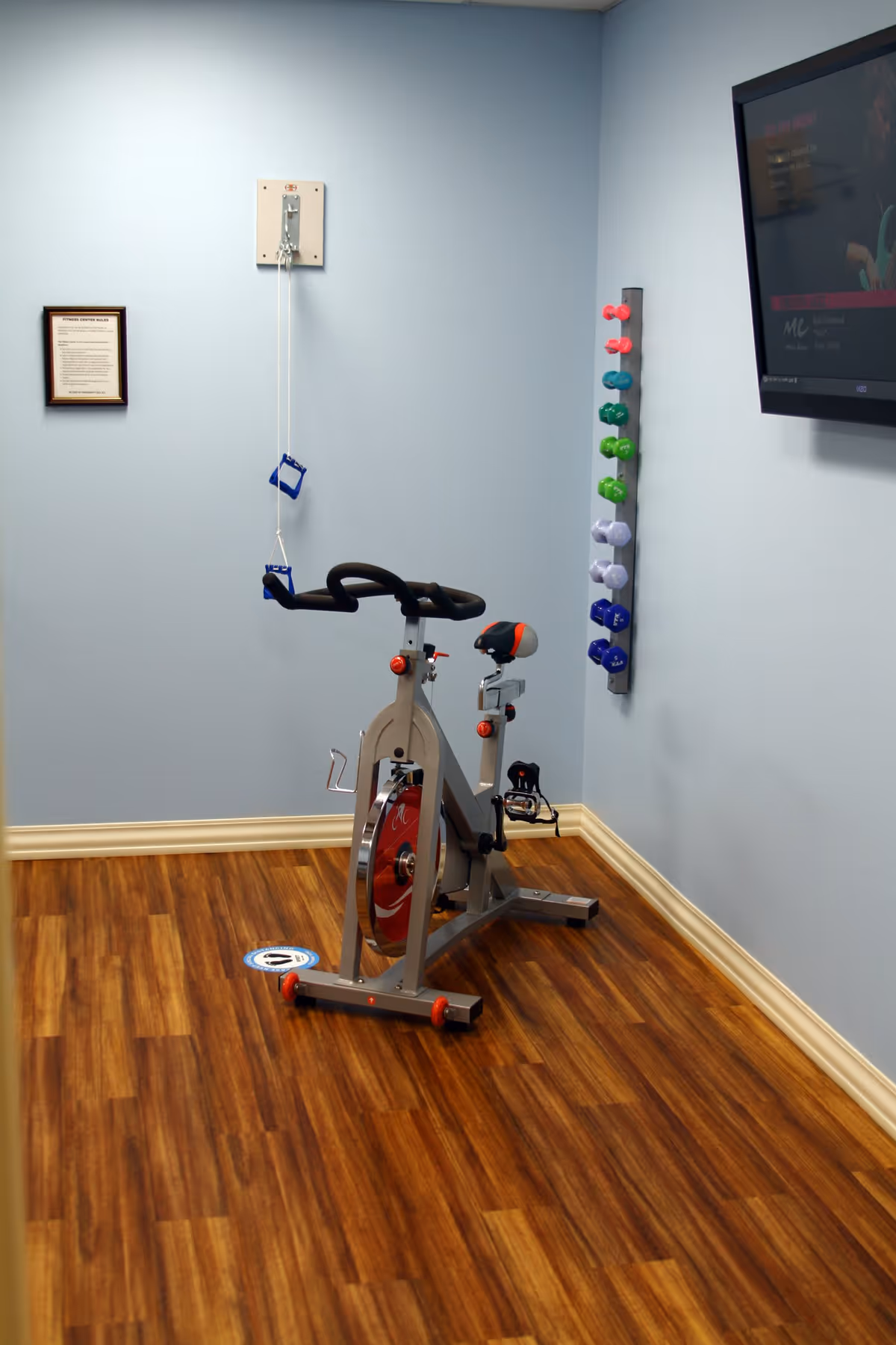 A small exercise room with light blue walls and wood flooring featuring a stationary exercise bike, a wall-mounted rack holding colorful dumbbells, a pulley system with blue handles attached to the wall, and a flat-screen TV mounted on the right wall.