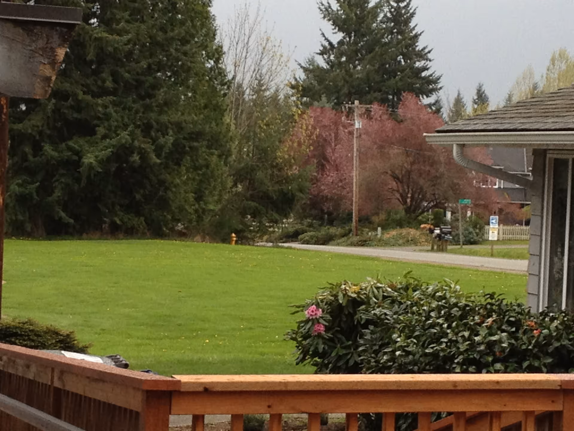 View of a green lawn with bushes and trees in the background, a wooden railing in the foreground, and part of a building with a window on the right side.