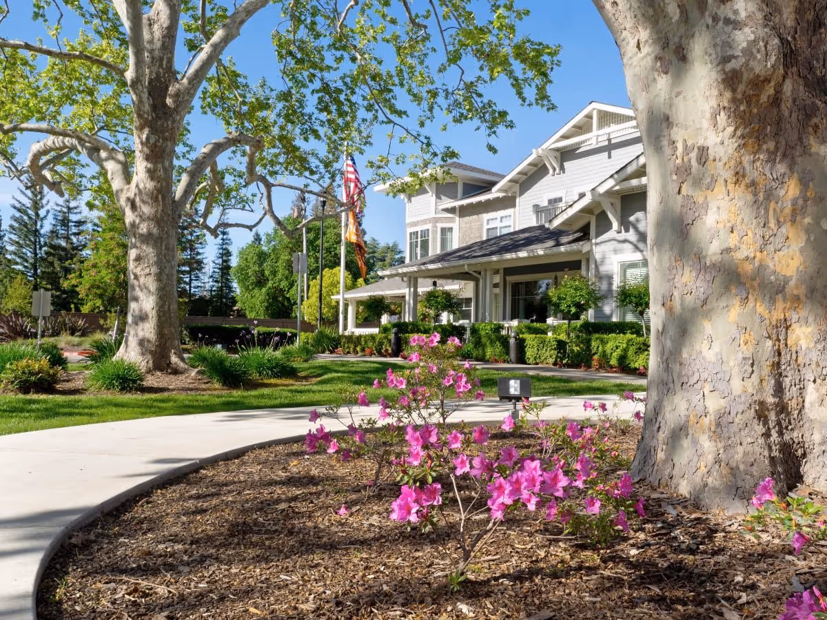 A landscaped outdoor area at Ivy Park at Sacramento featuring a curved concrete walkway, blooming pink flowers, large trees, and a two-story building with a porch and multiple windows under a clear blue sky.