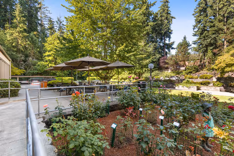 Outdoor courtyard with patio tables and umbrellas next to a rose garden, walkways, and surrounding trees.