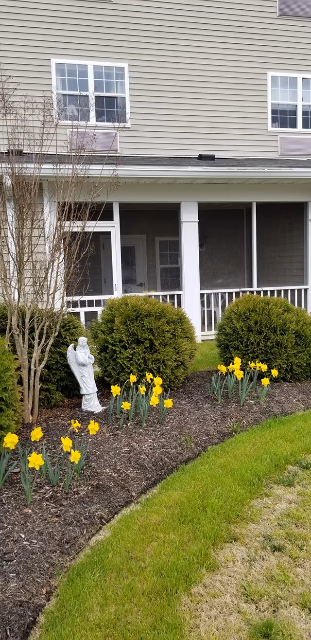 Outdoor garden area at Mennowood Retirement Community featuring a flower bed with blooming yellow daffodils, neatly trimmed bushes, a small white angel statue, and a screened porch attached to a beige building with white trim and windows.