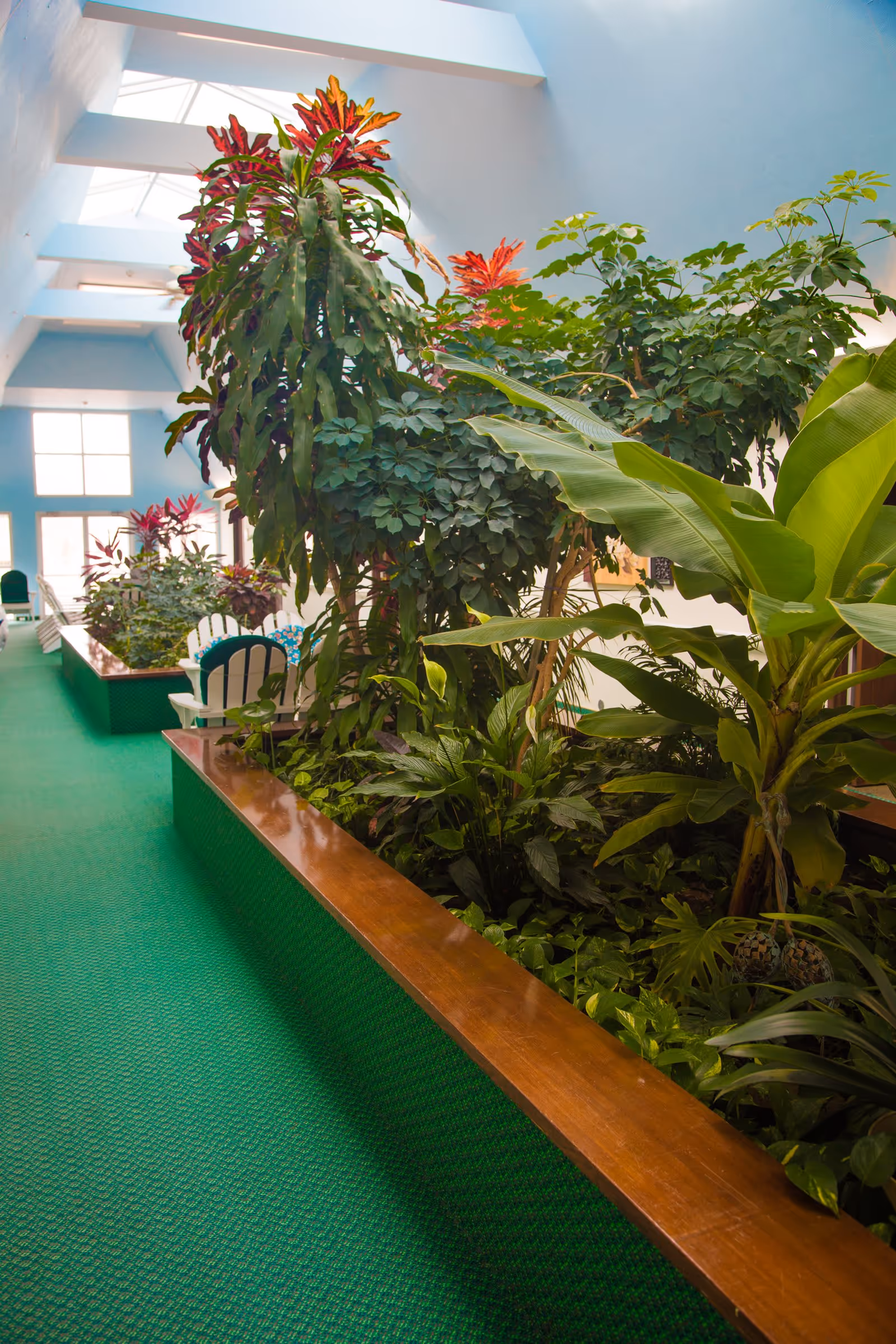 Indoor garden area with various green plants and colorful foliage along a green carpeted walkway under a skylight ceiling, with white chairs visible in the background.