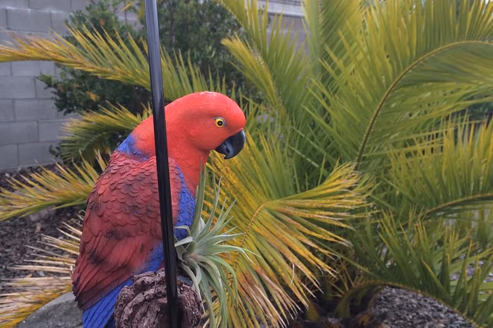 A vibrant red and blue parrot perched on a branch in a garden area with green palm leaves and other plants in the background.