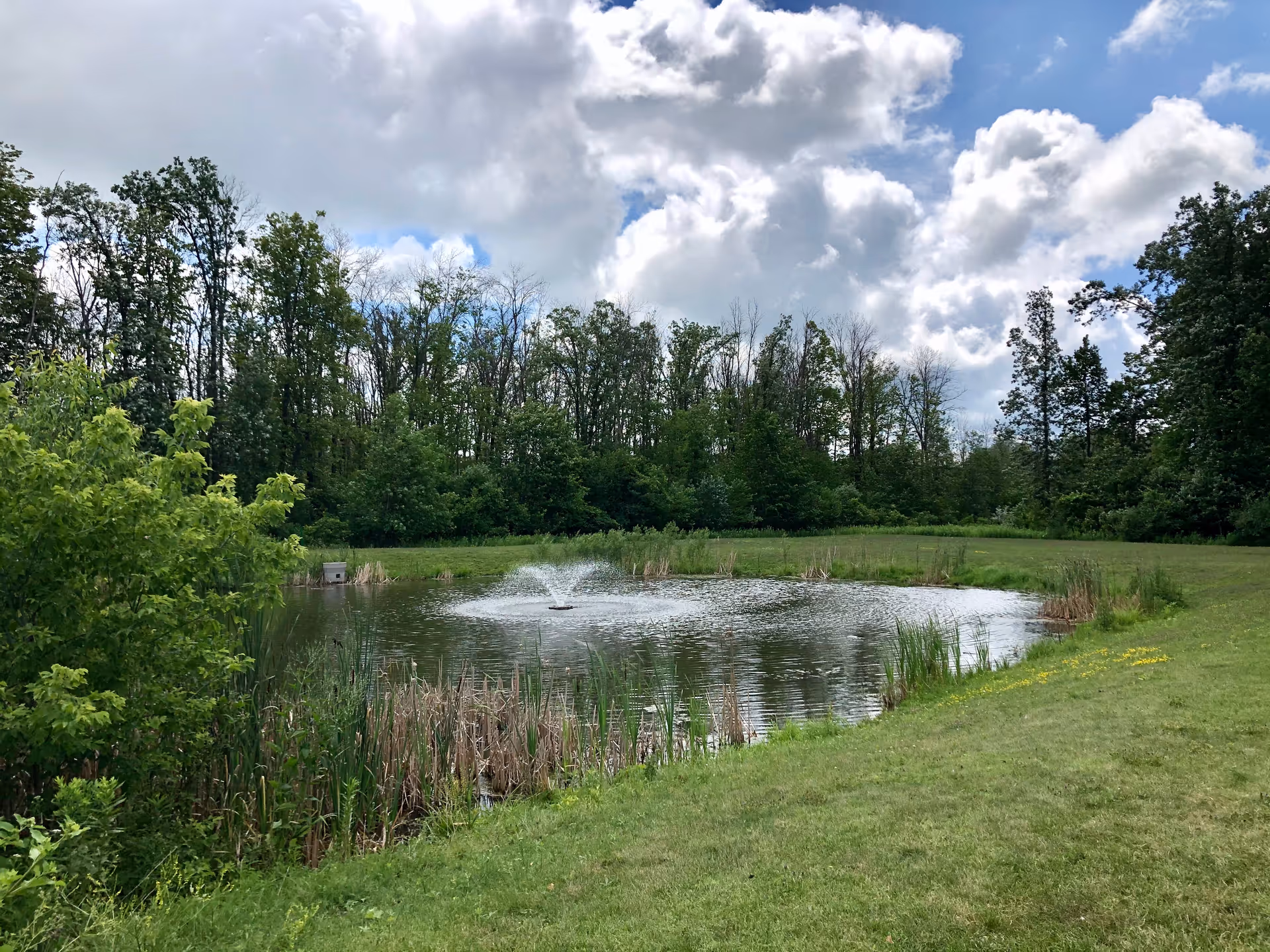 A small pond with a water fountain in the center, surrounded by green grass and tall trees under a partly cloudy sky.
