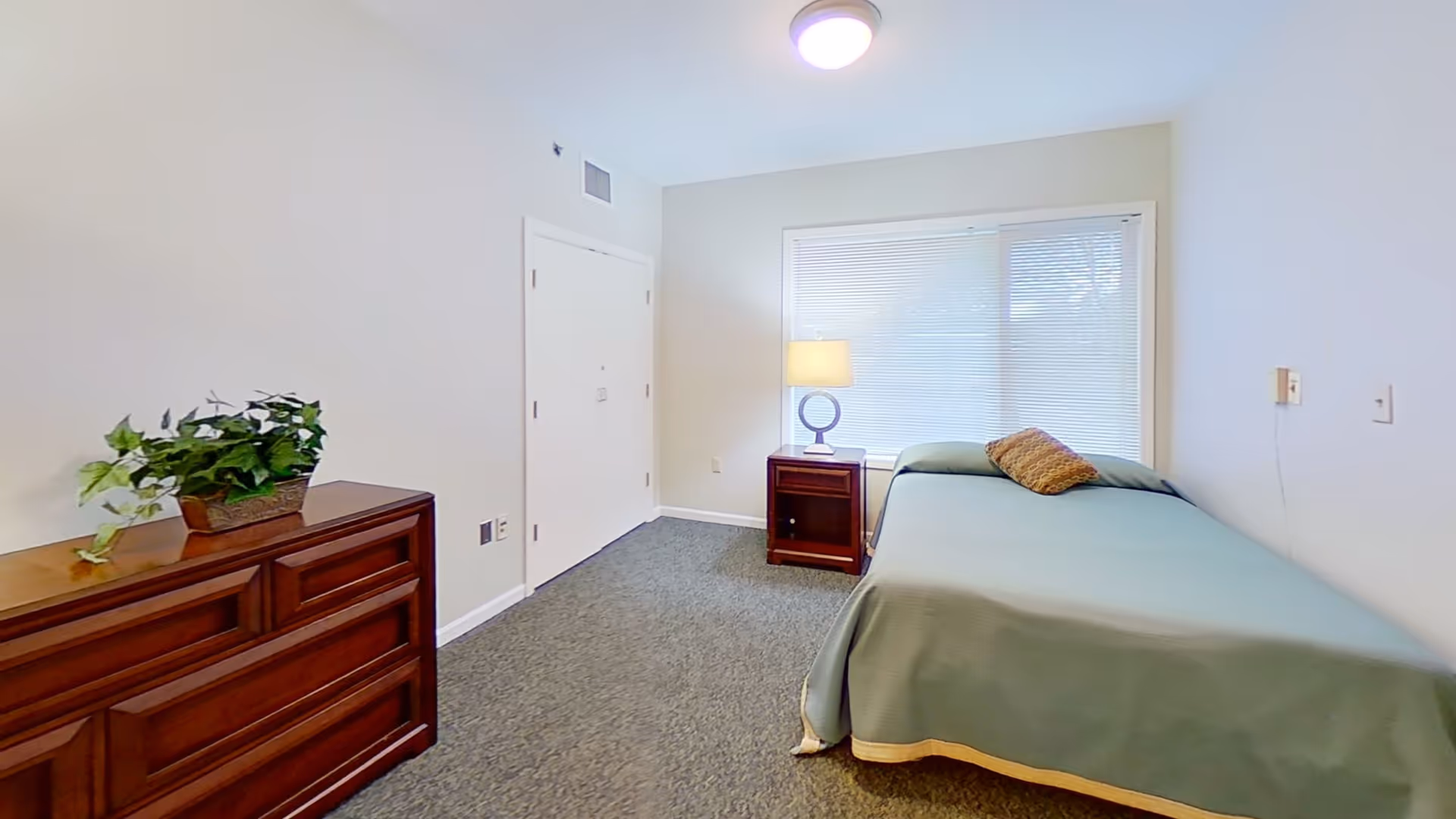 A simple bedroom with a single bed covered in a green blanket and a brown pillow. Next to the bed is a wooden nightstand with a modern lamp. Across from the bed is a wooden dresser with a green leafy plant on top. The room has light-colored walls, a window with blinds, and a carpeted floor.
