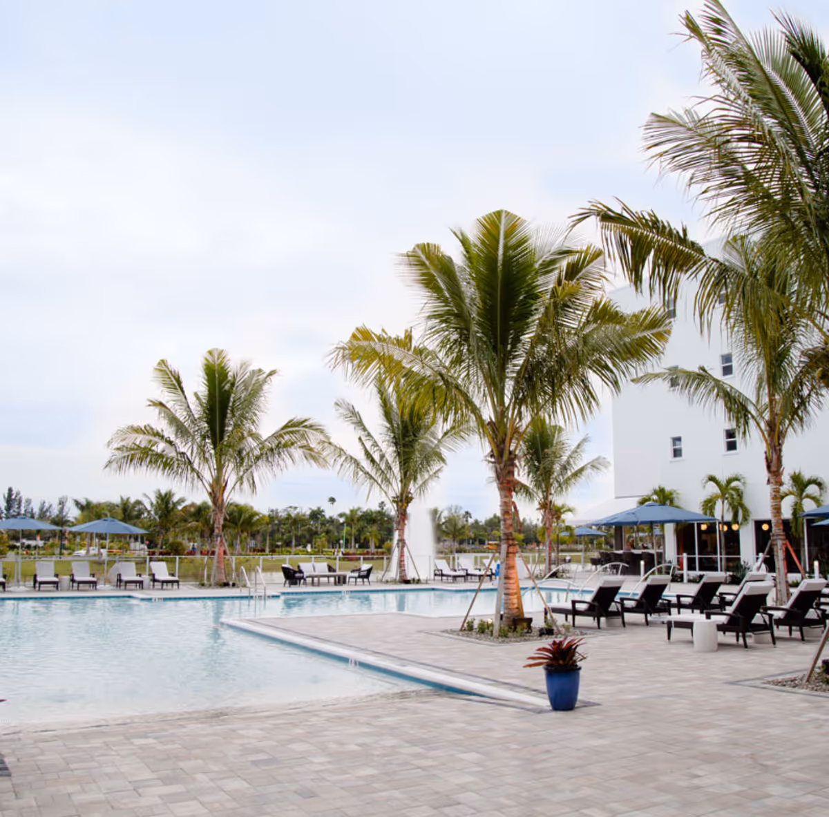 Outdoor pool area with palm trees, lounge chairs, umbrellas, and a nearby multi-story building.