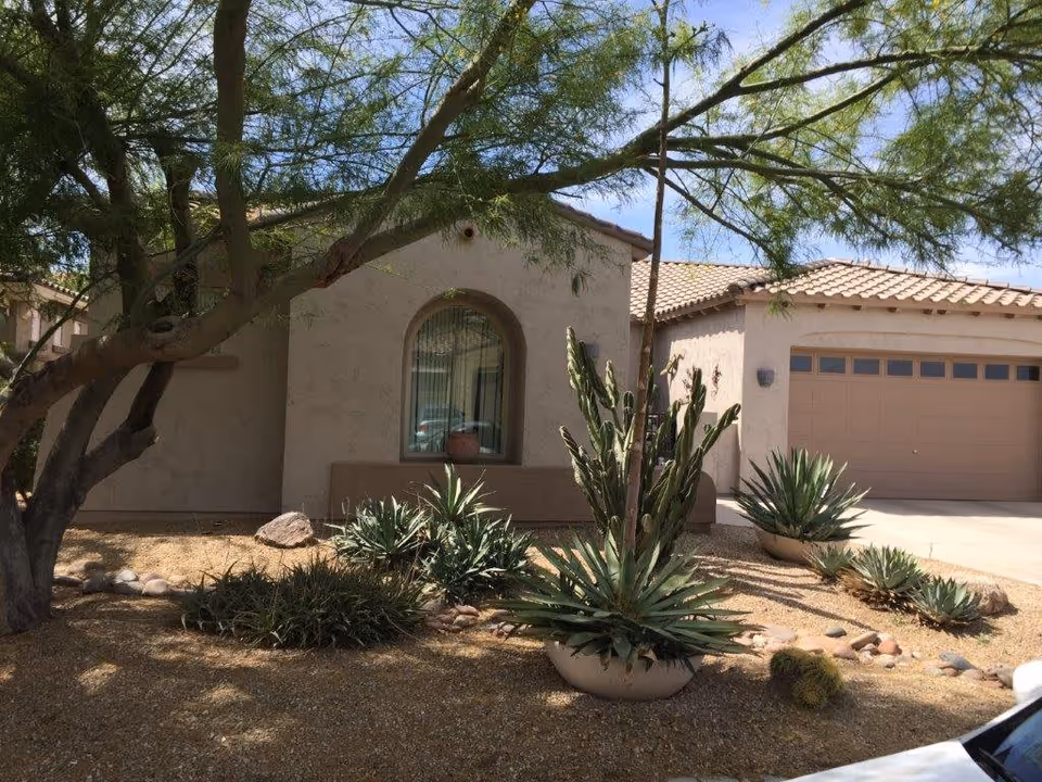 Exterior view of a single-story building with a beige stucco finish and a tiled roof. The front yard features desert landscaping with various cacti, succulents, and a large tree providing shade. There is a large window with an arched top and a garage door on the right side.