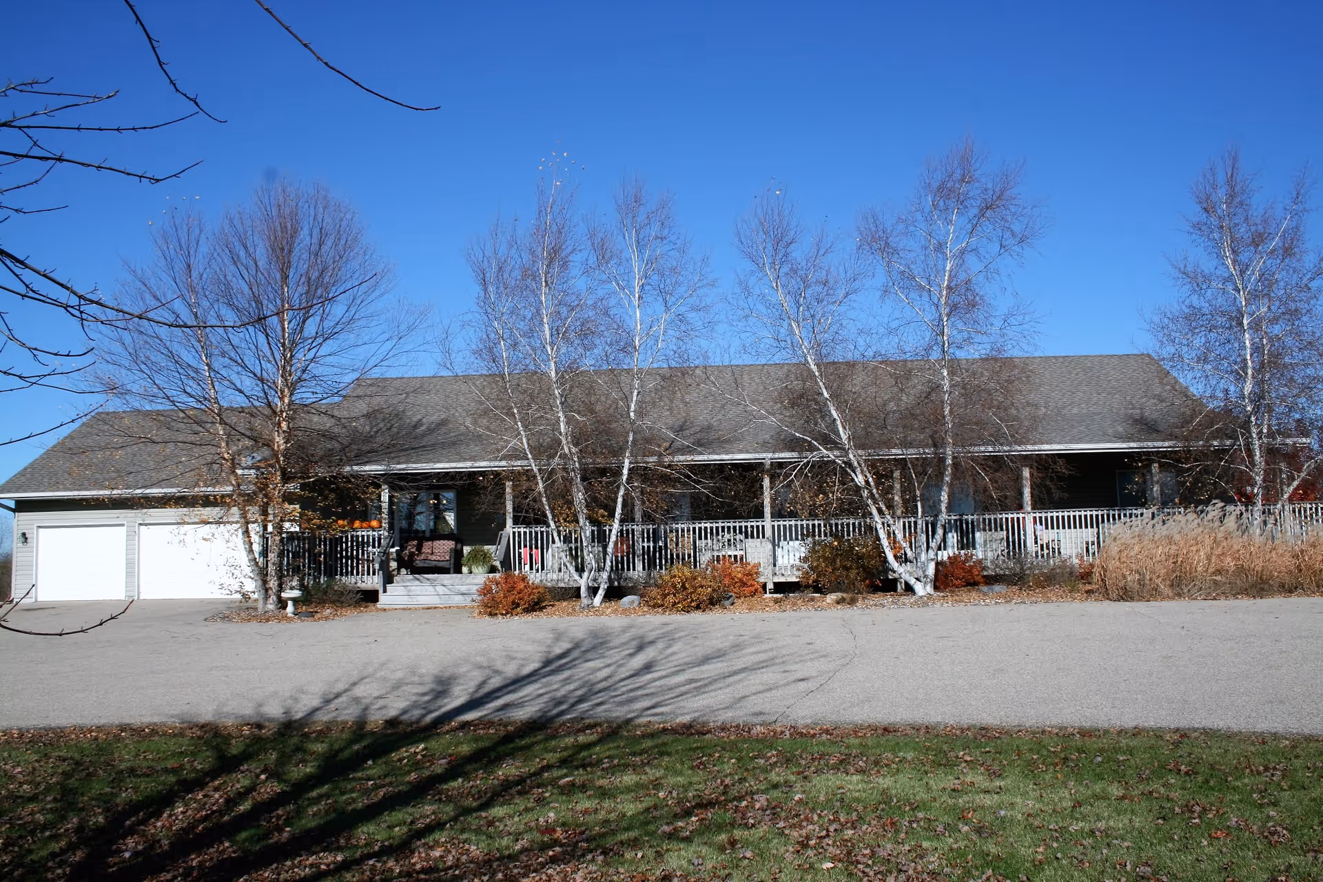 Single-story building with a long covered porch and white railing, leafless birch trees in front under a clear blue sky.