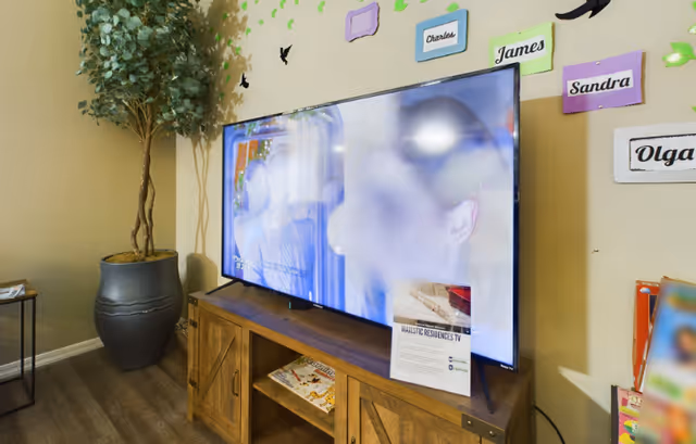 A living room area featuring a large flat-screen TV on a wooden TV stand. The TV is displaying a blurred image of people. On the wall behind the TV are colorful name plaques with names like Charles, James, Sandra, and Olga. To the left of the TV is a tall potted plant, and the floor is wooden.