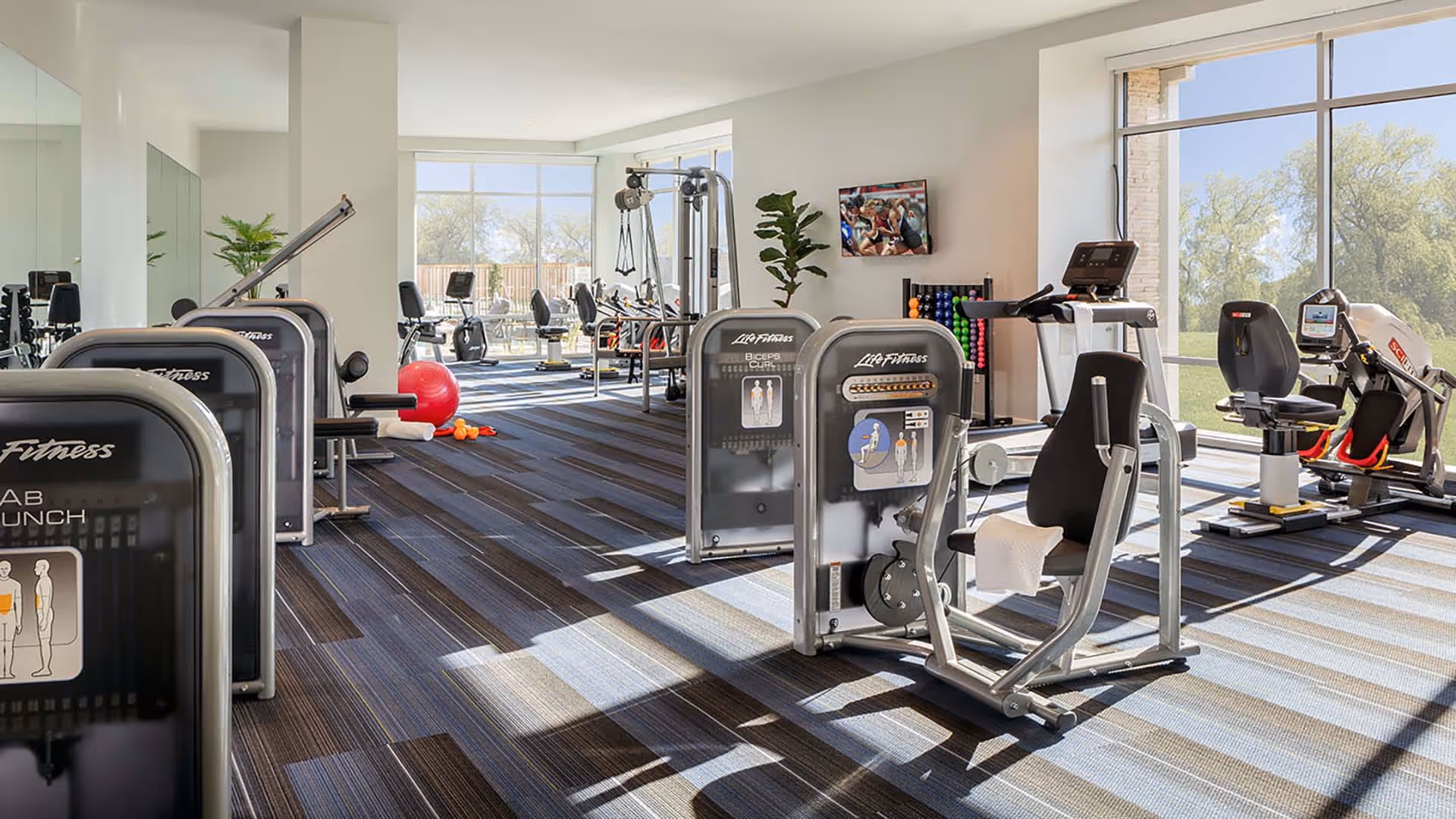Bright and spacious fitness room with various exercise machines including Life Fitness equipment, a red exercise ball, and a rack of colorful dumbbells. Large windows allow natural light to fill the room and offer a view of greenery outside. A television is mounted on the wall.