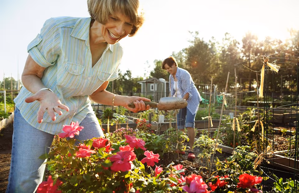 Two women gardening in a community garden with raised beds, one woman in the foreground smiling and holding a small garden trowel near blooming pink flowers, and another woman in the background tending to plants under bright sunlight.