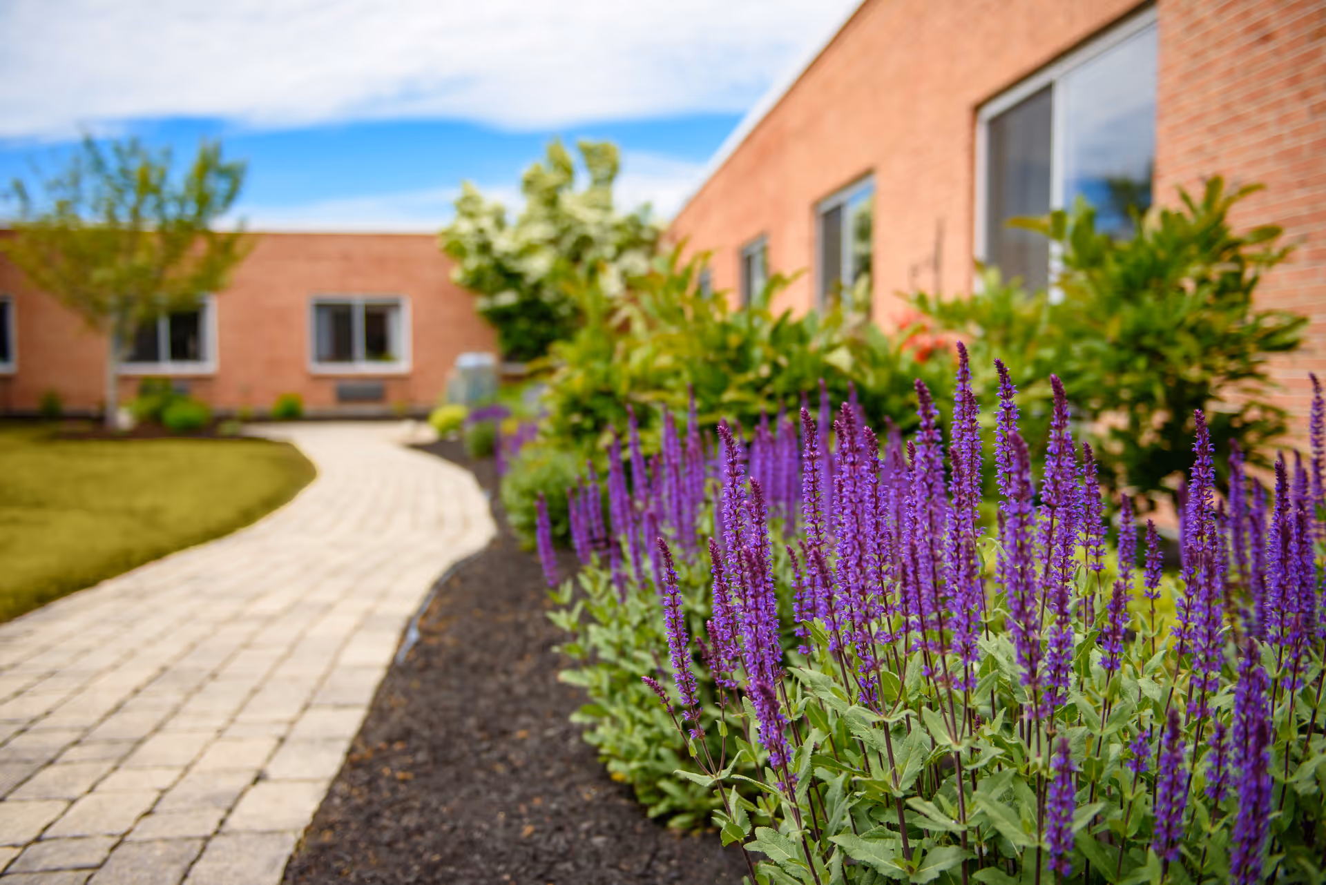 A paved walkway curves through a garden with purple flowers and green shrubs alongside a brick building under a partly cloudy sky.