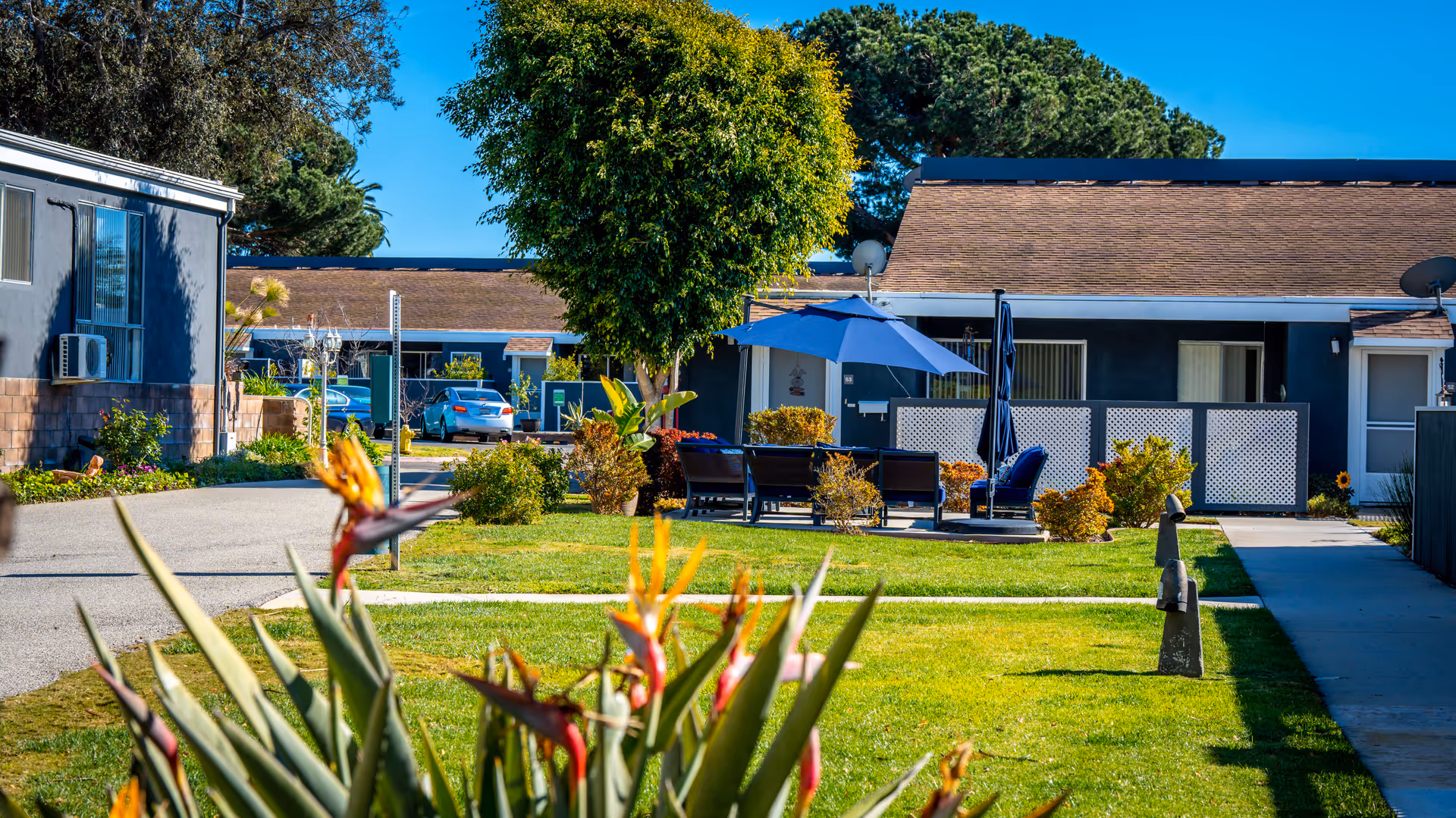 Outdoor view of a senior living facility with green lawns, a tree, patio furniture with a blue umbrella, and single-story buildings with brown roofs under a clear blue sky.