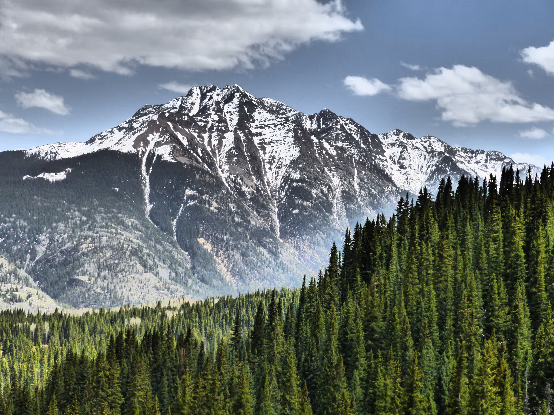 A scenic view of a snow-capped mountain range behind a dense forest of evergreen trees under a partly cloudy sky.