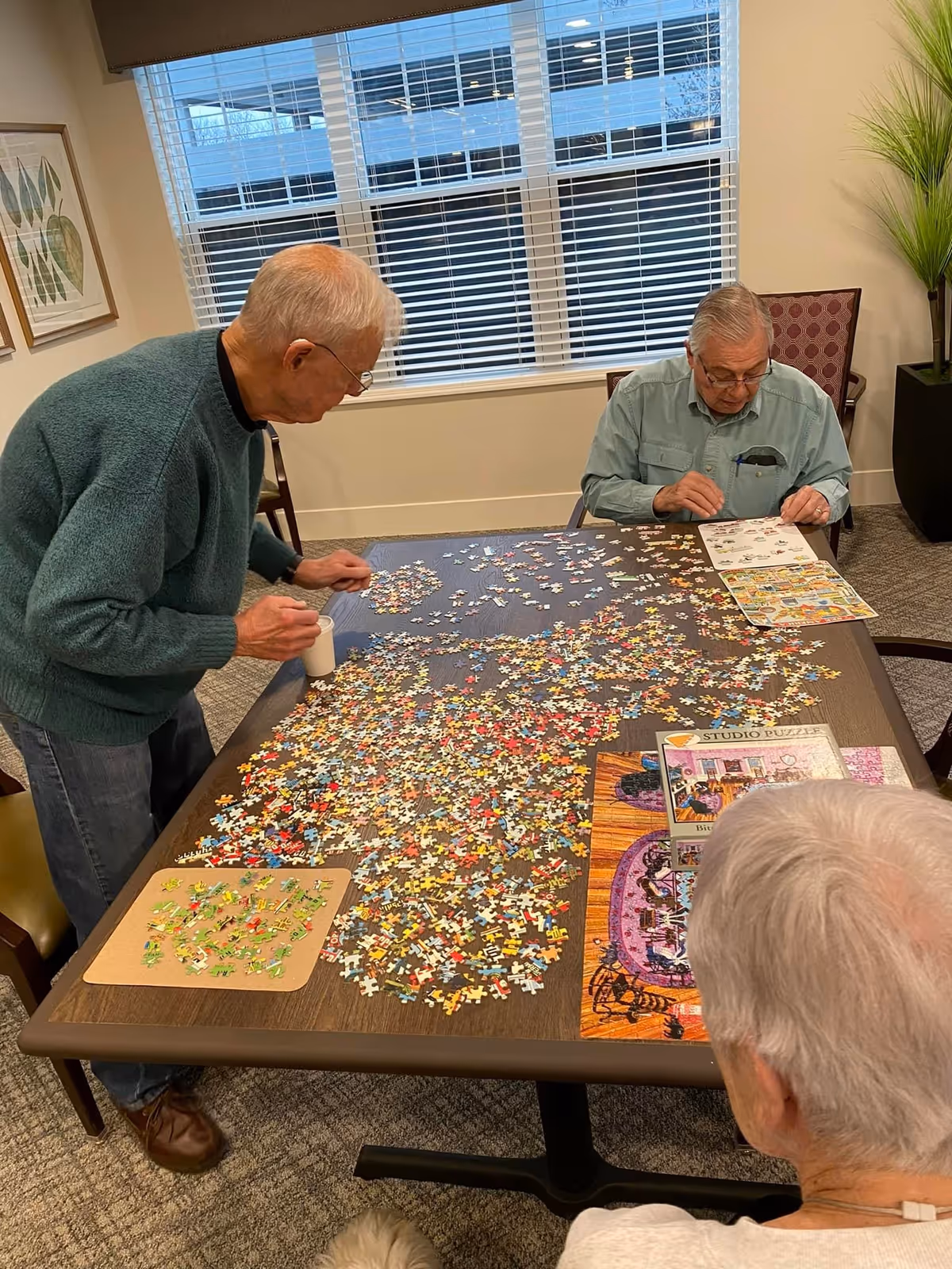 Three elderly individuals gathered around a table working on a large jigsaw puzzle in a well-lit room with a window, framed artwork on the wall, and a tall plant in the corner.