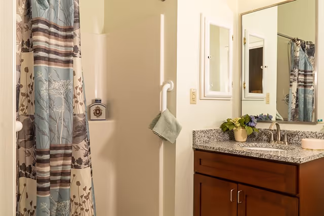 A clean bathroom showing a shower with a floral curtain and grab bar, and a vanity with a granite countertop, sink, mirror, and small potted plant.