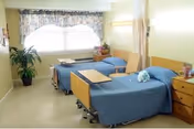 A nursing home bedroom with two hospital-style beds covered in blue bedspreads, a wooden bedside table with drawers, a small table between the beds, a potted plant near the window, and a large window with floral curtains letting in natural light.