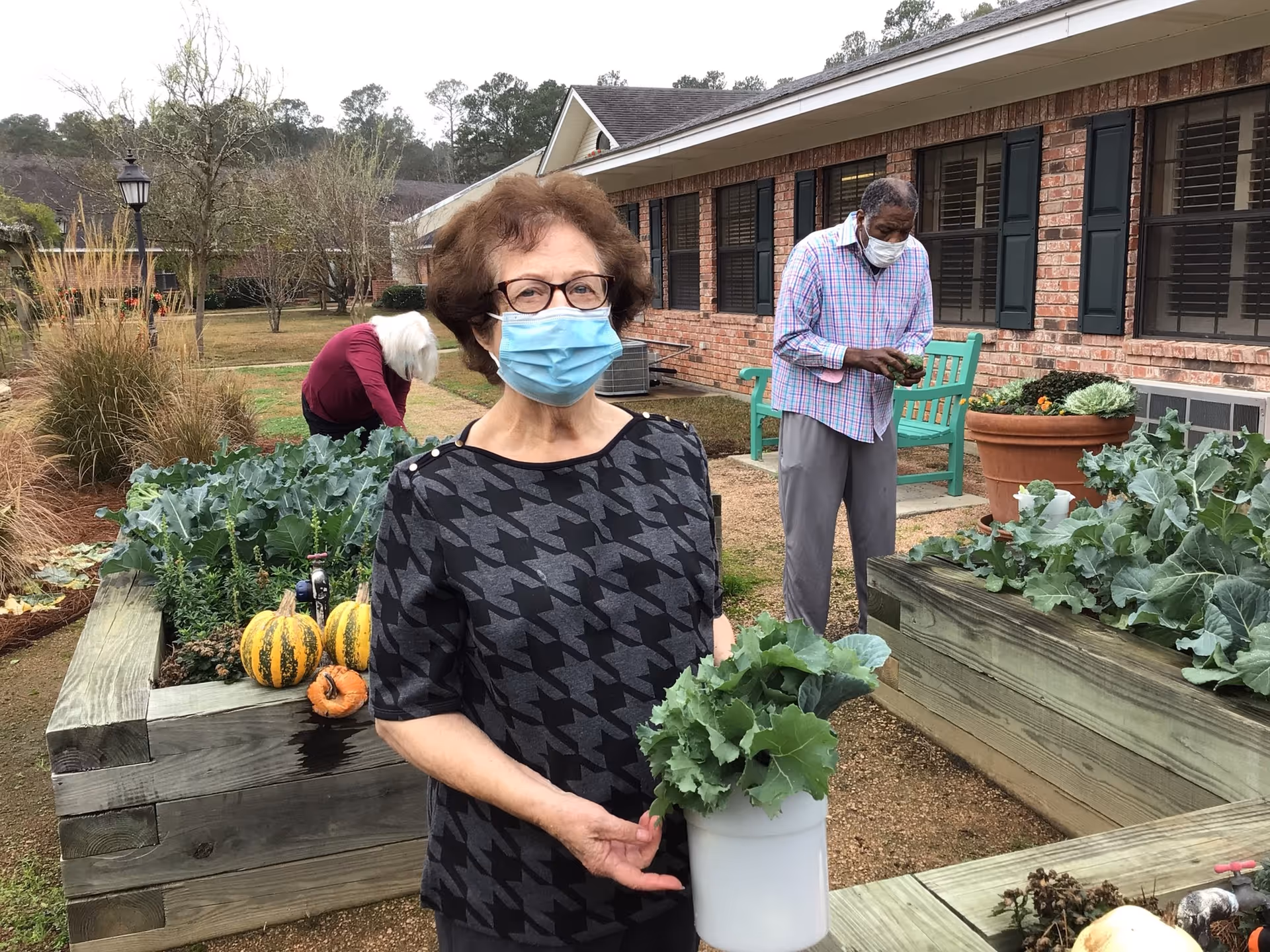 Three elderly individuals wearing face masks are gardening outdoors at a raised garden bed area next to a brick building. One woman in the foreground holds a white container with leafy greens, while two others tend to plants in the background. The setting includes greenery, pumpkins, and a green bench near the building.