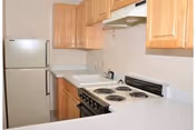 Compact kitchen with light wood cabinets, white countertops, a white refrigerator, an electric stove with four burners, and a white range hood.
