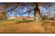 A large tree with bare branches stands in the foreground on a grassy area covered with fallen leaves. In the background, there is a brick building under a blue sky with some clouds.