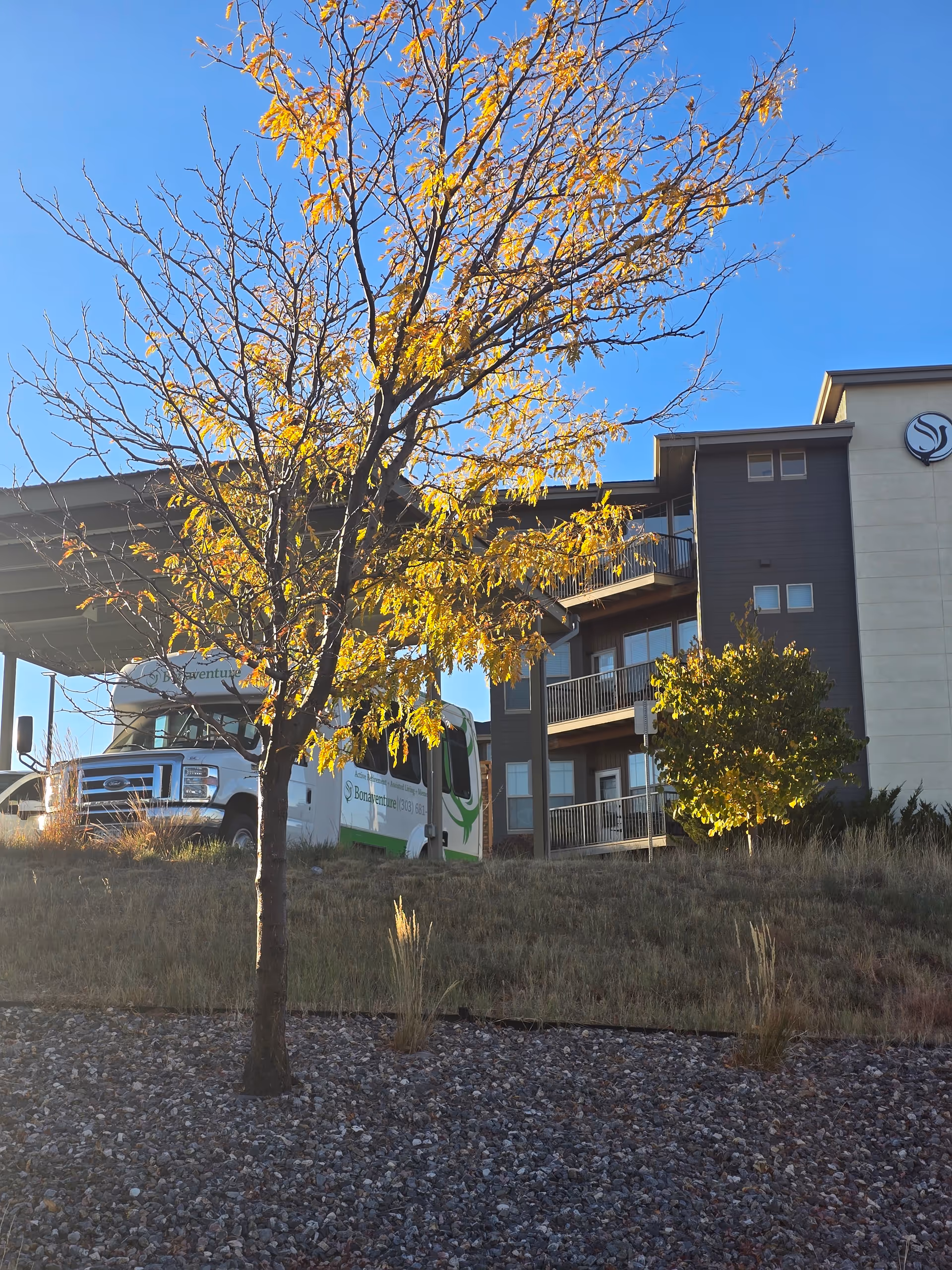 Exterior view of Bonaventure of Castle Rock facility with a tree in the foreground showing yellow autumn leaves, a shuttle bus parked under a covered area, and part of the building with balconies visible under a clear blue sky.