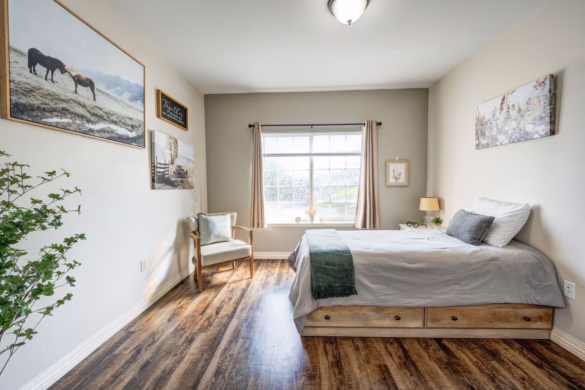 A bright bedroom with a large window covered by beige curtains. The room features a bed with a wooden frame and storage drawers underneath, dressed in light gray bedding with a dark gray pillow and a green throw blanket. There is a wooden chair with a cushion next to the window, a small nightstand with a lamp and plant, and several framed pictures and artwork on the walls. The floor is wood with a warm tone, and a green plant is visible in the corner.