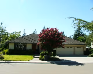 Single-story residential building with a three-car garage, a well-maintained front lawn, and a flowering tree in the center of the yard under a clear blue sky.