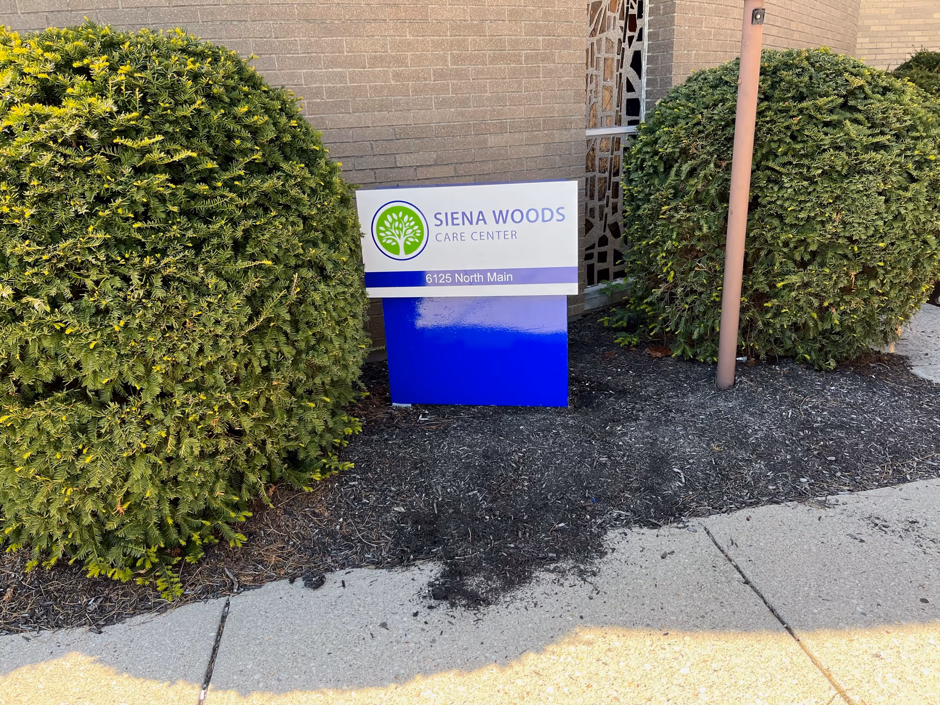 Outdoor view of a Siena Woods Care Center sign placed between two large green bushes in front of a brick building. The sign displays the facility name and address: 6125 North Main.