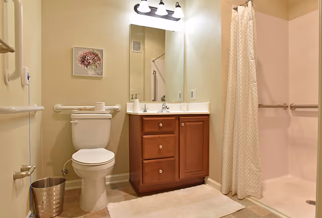 A clean and accessible bathroom featuring a toilet with grab bars on the wall behind and beside it, a wooden vanity with a sink and mirror above, a three-light fixture, a shower area with a curtain and grab bars, a small framed flower artwork on the wall, and a trash bin on the floor.