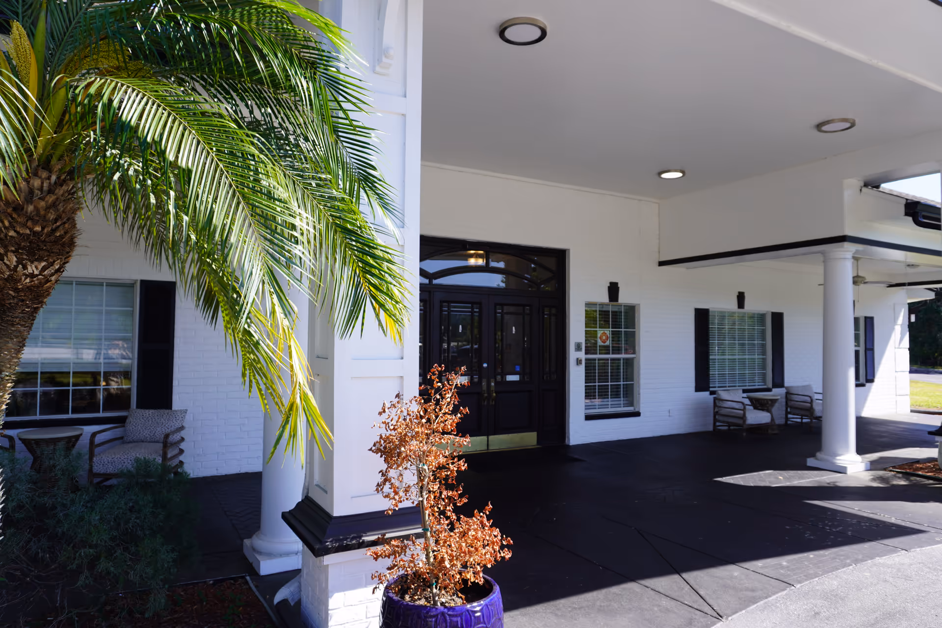 Entrance area of a building with white brick walls, black double doors, large white columns, and outdoor seating with chairs and small tables. A palm tree and a potted plant are visible near the entrance.