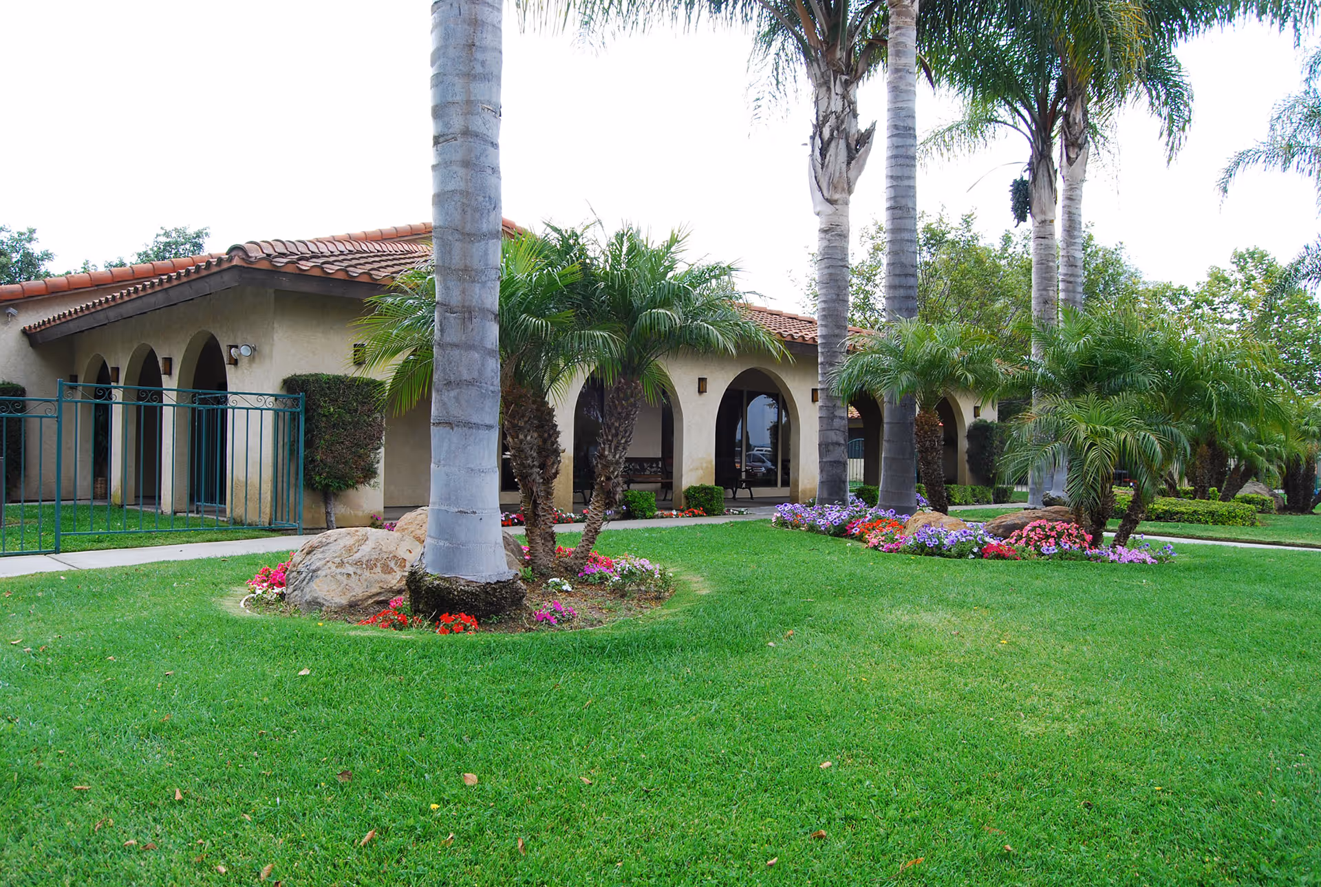 Exterior view of a Silverado Senior Living Escondido building with arches, palm trees, and a lawn.