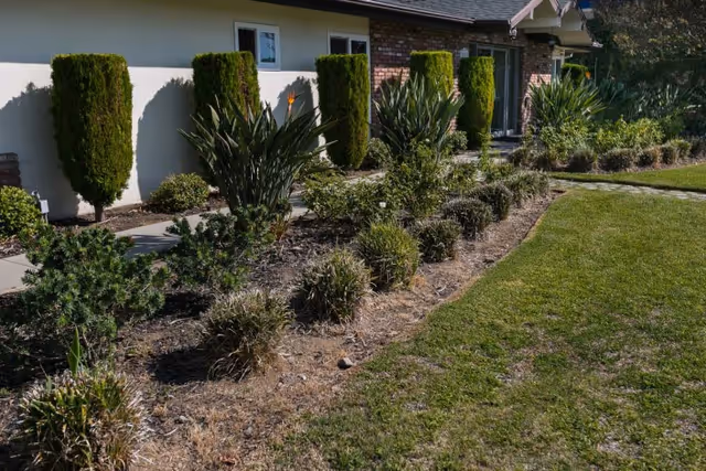A landscaped garden area outside a building with neatly trimmed bushes, small trees, and various plants along a walkway. The building has a beige exterior with a brick section and windows visible.