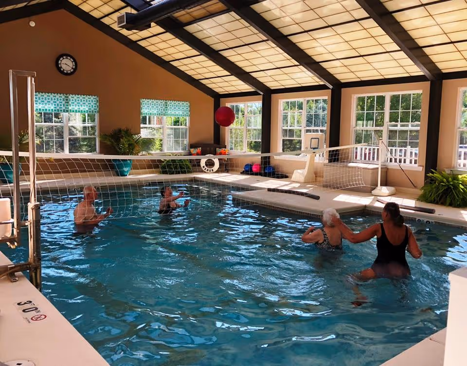 Four elderly people playing water volleyball in an indoor swimming pool with large windows letting in natural light. The pool area has a high ceiling with a grid pattern and plants placed around the edges. A clock is mounted on the wall above the windows.