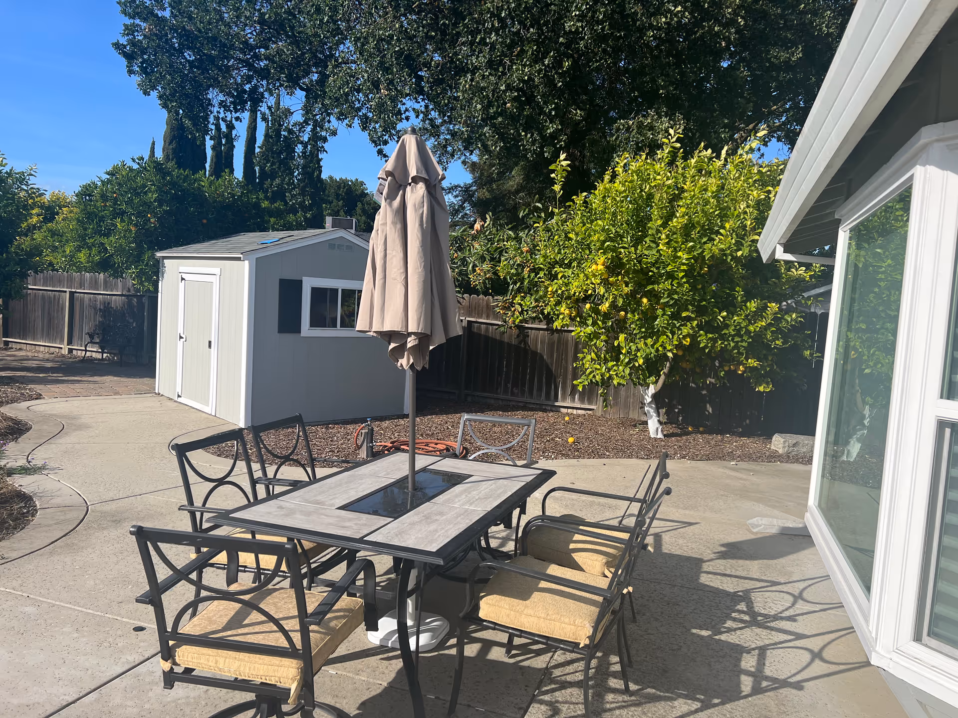 Outdoor patio area with a rectangular table and six cushioned chairs around it. A closed beige umbrella is positioned in the center of the table. In the background, there is a small white shed, a wooden fence, and green trees including a lemon tree with visible lemons. The patio is adjacent to a building with large windows.