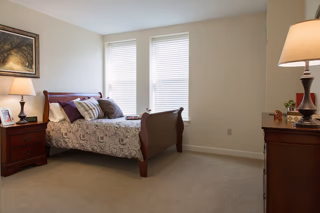 Sunlit bedroom with a wooden sleigh bed, nightstands and lamps, two windows with blinds, and a dresser.