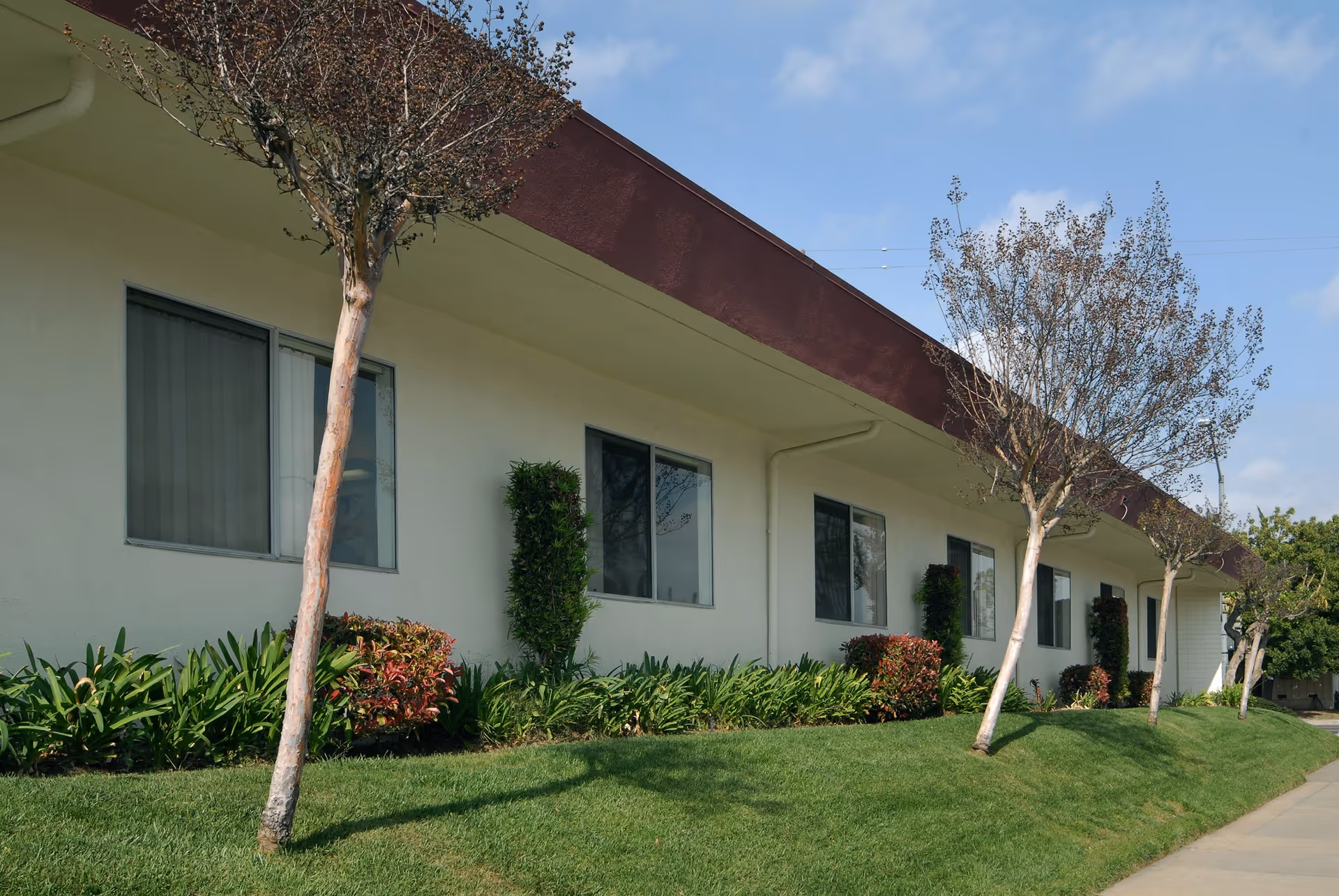 Exterior view of a single-story building with several windows, small trees, and neatly trimmed bushes along a grassy area under a clear sky.