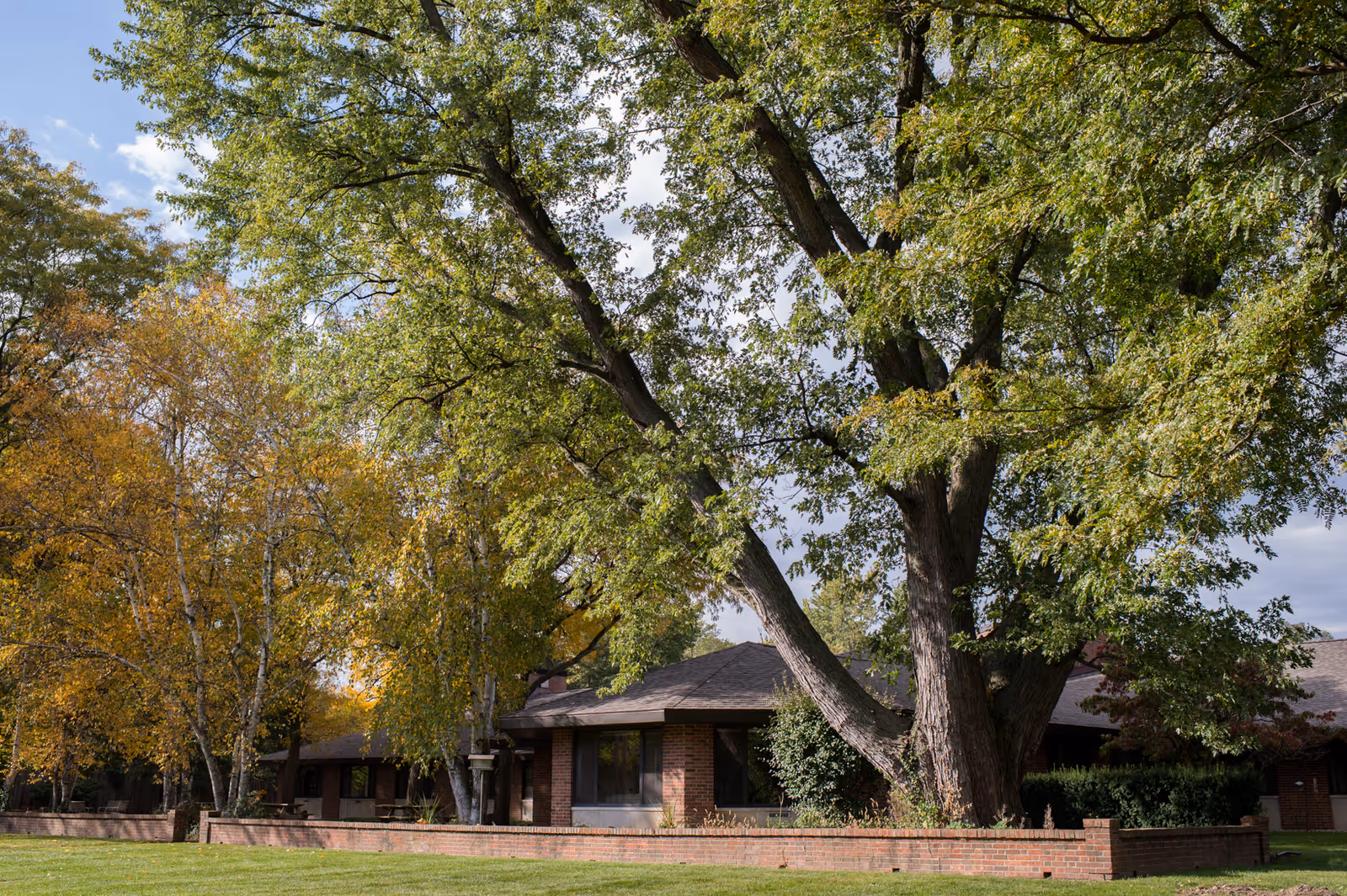 Exterior view of a single-story brick building partially obscured by large trees with green and yellow leaves, a well-maintained lawn, and a low brick wall in front under a partly cloudy sky.