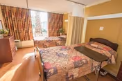 A cozy bedroom in a senior living facility featuring a single bed with a patterned quilt, a wooden dresser with a plant on top, a window with floral curtains letting in natural light, and a privacy curtain partially drawn around the bed.