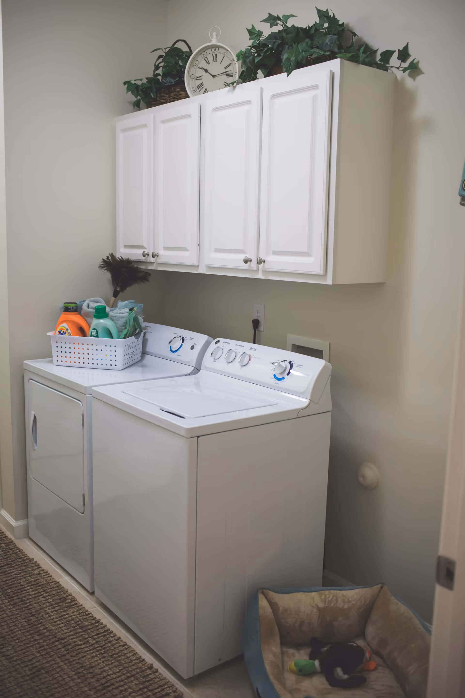 Laundry room with a white washing machine and dryer side by side. Above them are white cabinets with a clock and green plants on top. A basket on the dryer holds laundry detergent and cleaning supplies. On the floor is a pet bed with a toy inside.