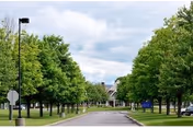 A paved driveway lined with green trees on both sides leading to a building in the distance under a cloudy sky.