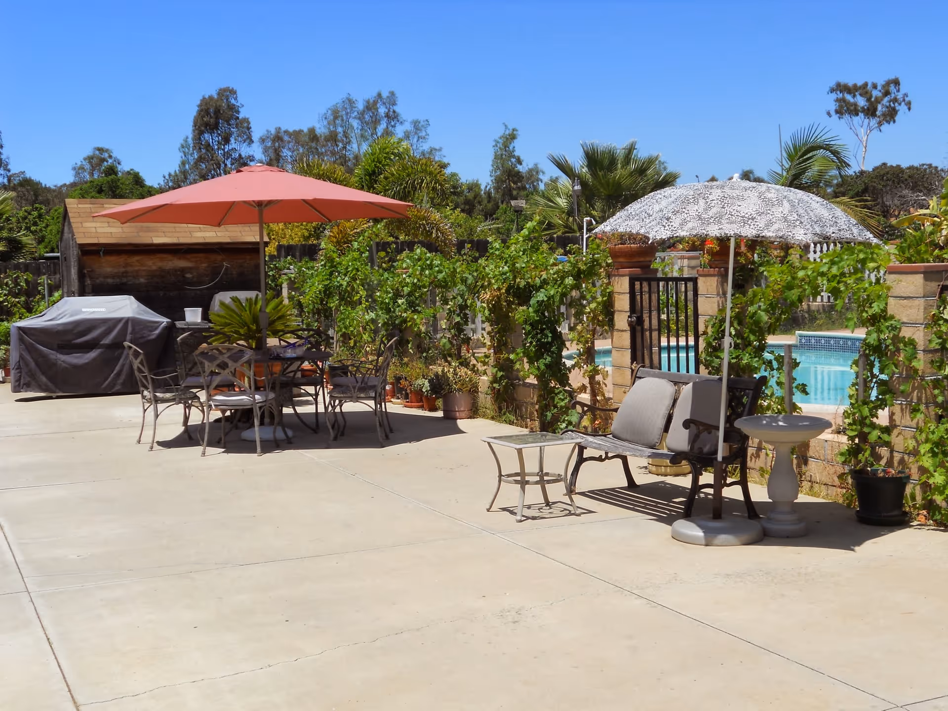 Outdoor patio with tables, umbrellas, seating and a pool visible behind a vine-covered fence.