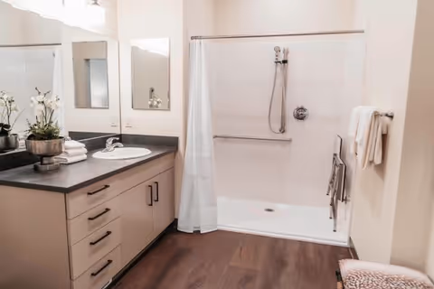 A clean and modern bathroom featuring a vanity with a sink, a large mirror, and a countertop decorated with a potted plant and folded towels. The bathroom has a walk-in shower with a white curtain, grab bars, and a handheld showerhead. The floor is wood-style, and there are towels hanging on a rack next to the shower.