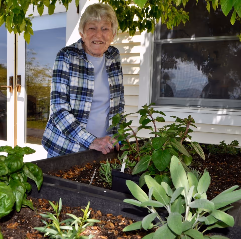 An elderly woman wearing a blue and white plaid shirt stands outside near a raised garden bed filled with various green plants and herbs. She is smiling and appears to be tending to the garden. Behind her is a white building with a window and glass doors, and green leaves hang overhead.