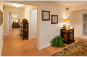 Well-lit interior hallway/entry area with wood floors, a rug, framed artwork, a console table with a lamp, and a potted plant.