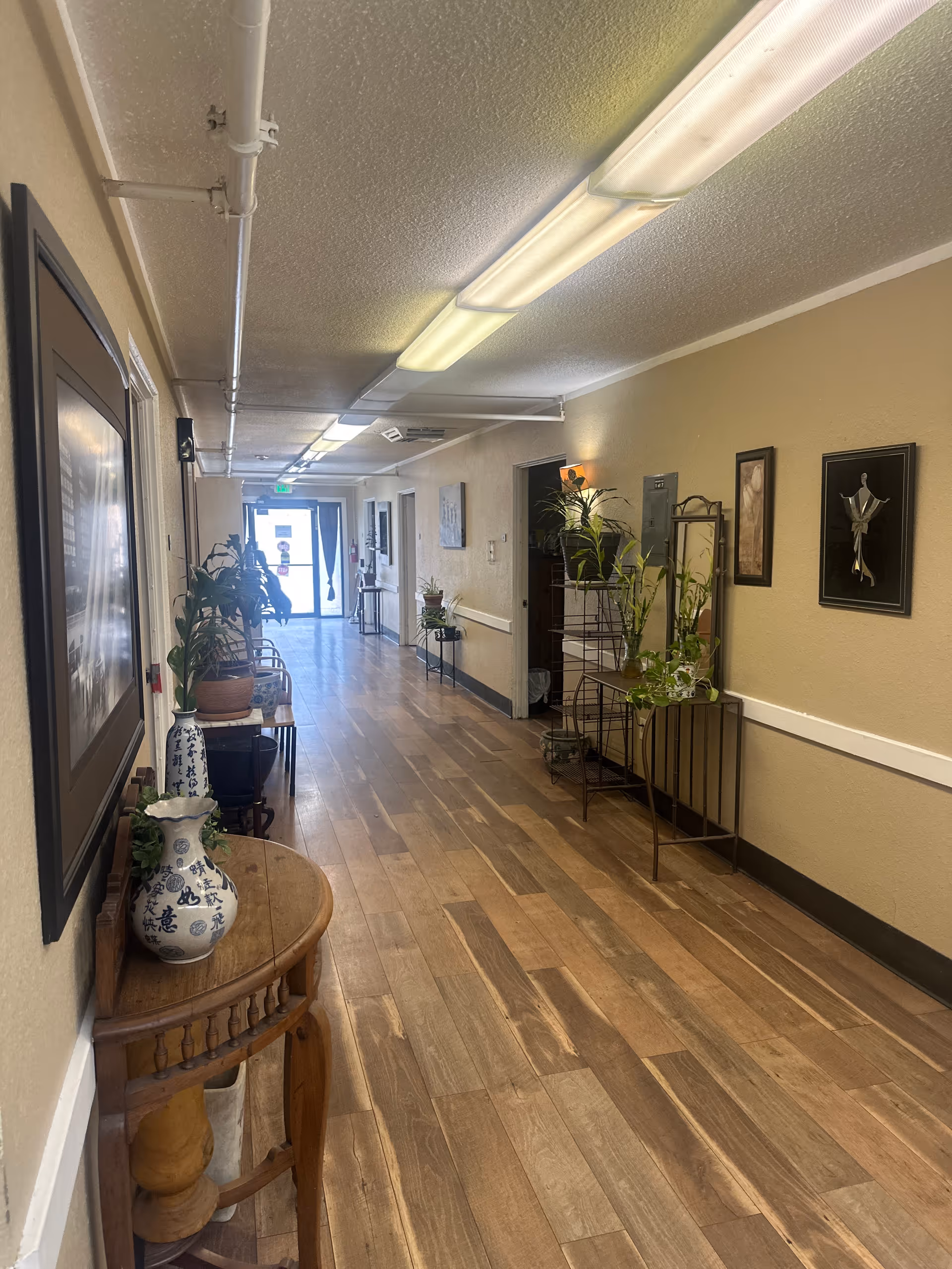 A long, well-lit hallway with wooden flooring and beige walls. The hallway is decorated with plants in pots and vases, framed artwork on the walls, and small tables along the sides. Fluorescent lights are mounted on the ceiling, and a glass door is visible at the far end of the corridor.