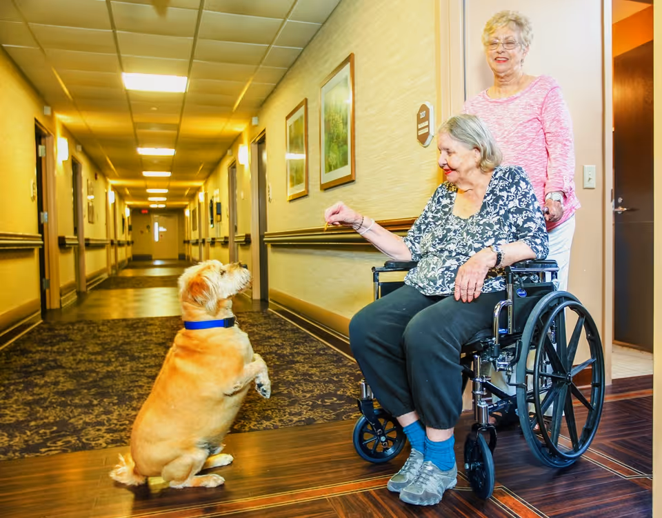 An elderly woman in a wheelchair interacts with a small dog sitting on its hind legs in a well-lit hallway of a senior living facility. Another woman stands behind the wheelchair, smiling. The hallway has patterned carpet, framed pictures on the walls, and several doors along the corridor.