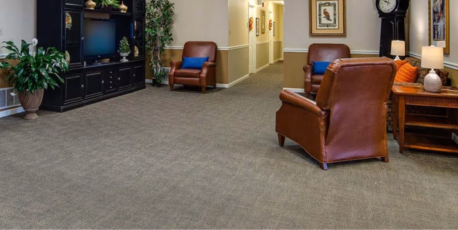 A senior living facility common area with brown leather armchairs, a wooden side table with a lamp, a large black entertainment center with a TV, potted plants, and framed artwork on the walls. The space has beige walls with white trim and carpeted floors.