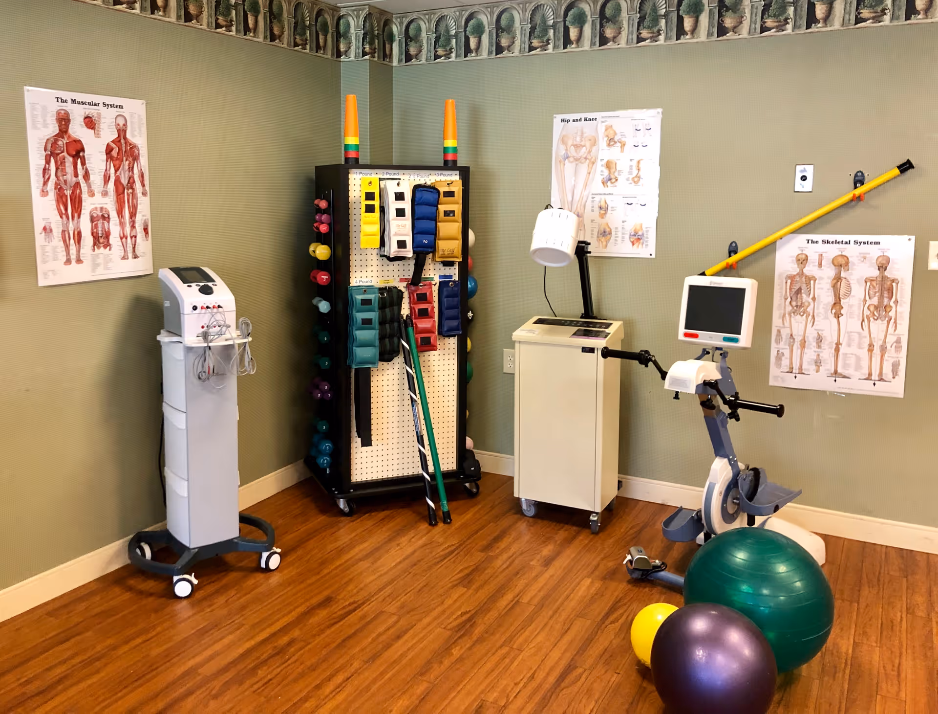 A rehabilitation room with exercise equipment including an exercise bike, various weights, resistance bands, and therapy balls. Anatomical posters of the muscular system, hip and knee, and skeletal system are displayed on the walls. The room has wooden flooring and green walls with a decorative border near the ceiling.